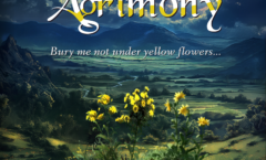 image of the book cover for the novel DEATH & AGRIMONY