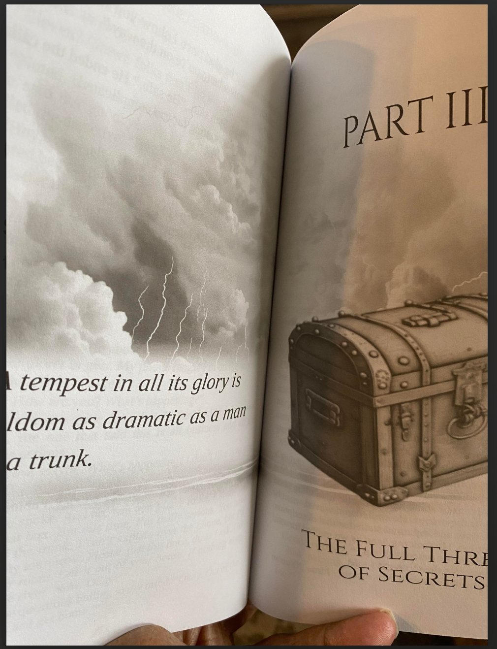 interior image of the painted trunk novel proof